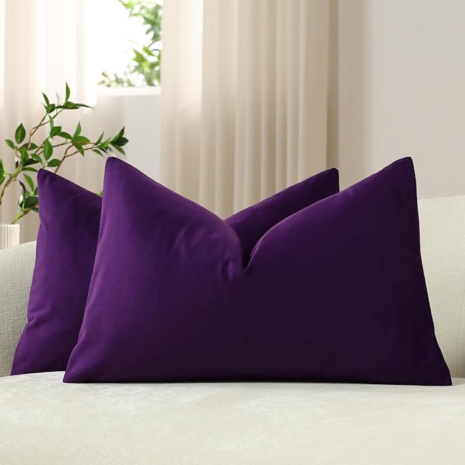 Lumbar Pillow Covers 12x20 Purple: Pack of 2 Cozy Soft Velvet Rectangular Modern Luxury Decorative Throw Pillow Cases for Sofa Couch Living Room Bed Home Decor
