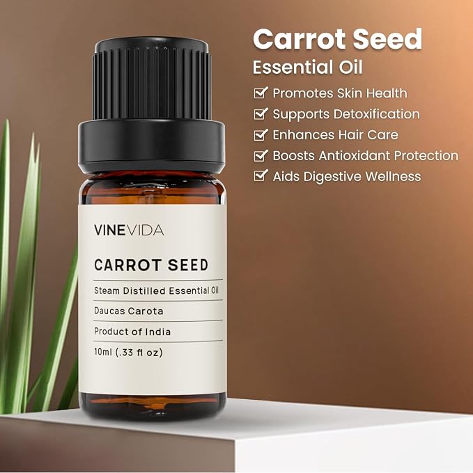 VINEVIDA Carrot Seed Essential Oil 10 mL - Undiluted for Candlemaking and Soap Making - DIY Candle Scents