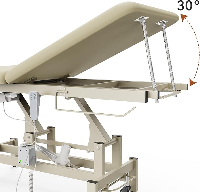2 Motors Electric Massage Table, Hydraulic Electric Lift Adjustable Waist and Height Lifting Functions for Treatment, Physical Therapy, Spinal Massage, Facial Spa, Waxing, Tattooing - Beige Gray