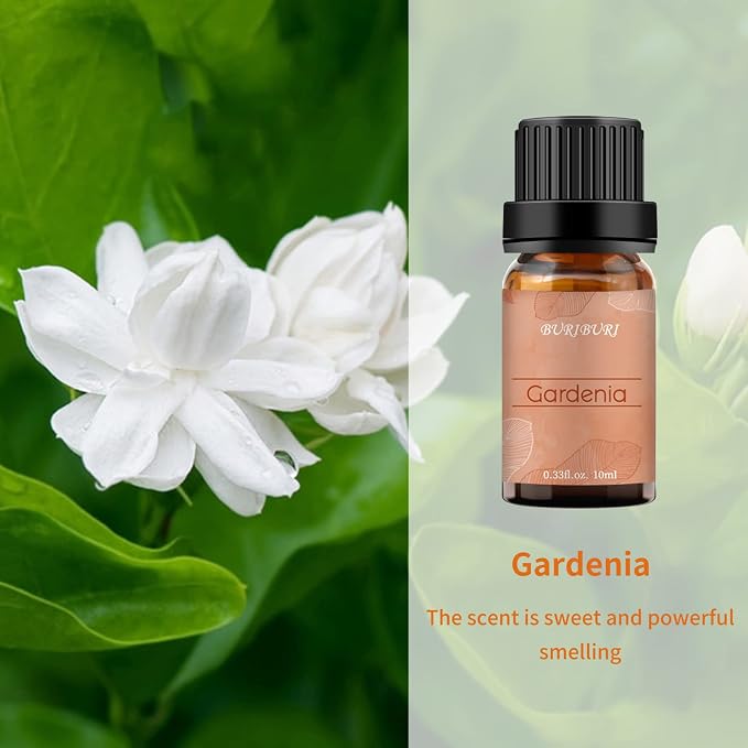 BURIBURI Gardenia Essential Oil, 100% Pure Gardenia Fragrance Oil, Fragrance Oil Essential Oils 10ML for Soap Candle Making