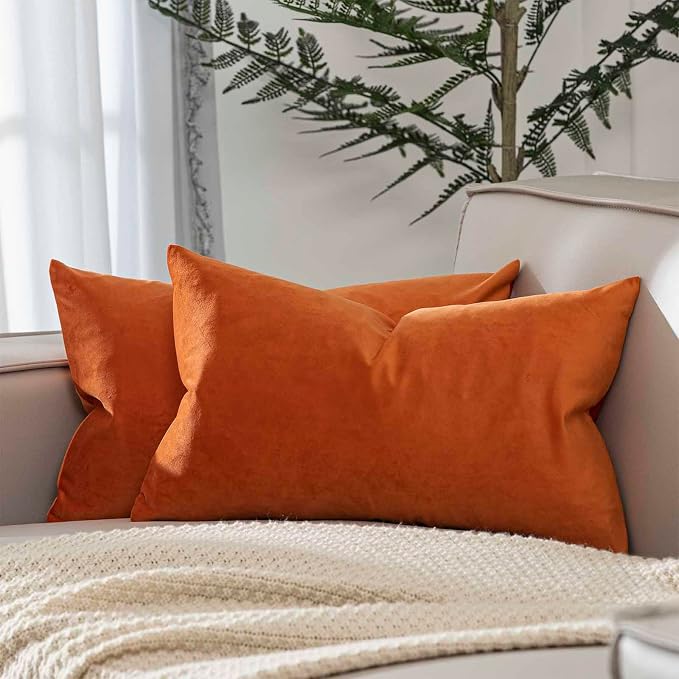 16x24 Velvet Throw Pillow Covers Set of 2 for Couch Bed Sofa,Burnt Orange | Decorative Soft Pillow Covers with Invisible Zipper for Couch Sofa Bed Living Room Bedroom Home Decor Halloween