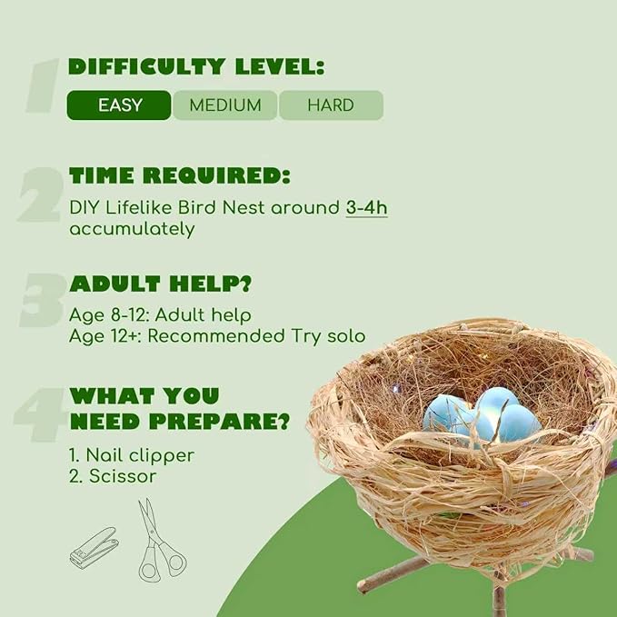 CHARTEKS Bird Nest Craft Kit with LED String Lights - DIY Nature Arts and Crafts STEM Project for Kids & Adults, Creative Home Decor Gift for Boys Girls Ages 8-12