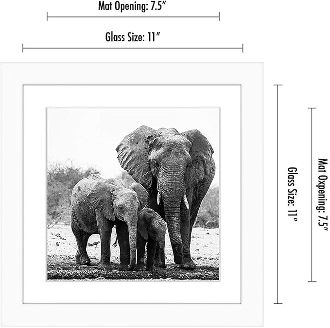 Americanflat 11x11 Picture Frame with Shatter-Resistant Glass - Use as 8x8 Frame with Mat or Display 11x11 Photo Without Mat - Signature Collection - Square Frames for Wall Display - White | Shatter-resistant glass, sawtooth hangers included, use with ...