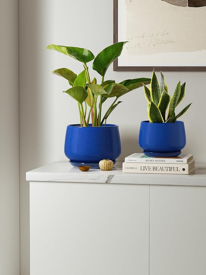 LE TAUCI Plant Pots, 4.1+5.1+6.5 inch, Set of 3, Ceramic Planters with Drainage Hole and Saucer, Indoor Flower Pot with Hole Mesh Pad, Gifts for Mom, Sapphire Blue