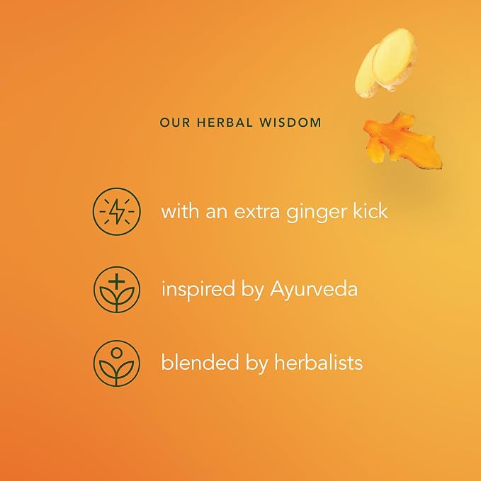 Pukka Three Ginger Organic Herbal Tea Bags 80 Count 4-Pack Caffeine Free Digestive Wellness Infusion with Turmeric Galangal Licorice for Digestion and Bloating Relief