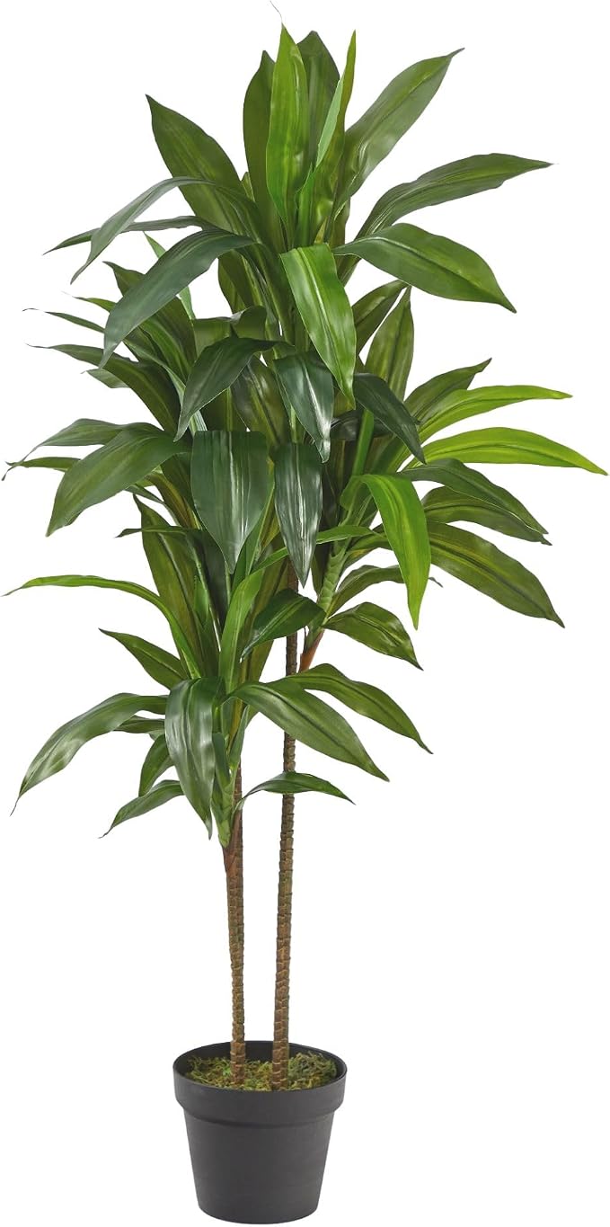 Nearly Natural 48 in Artificial Dracaena Real-Touch Plant with Pot | Multi-Tonal Trunks, Large Indoor Faux Tree, Maintenance-Free, Living Room and Office Decor