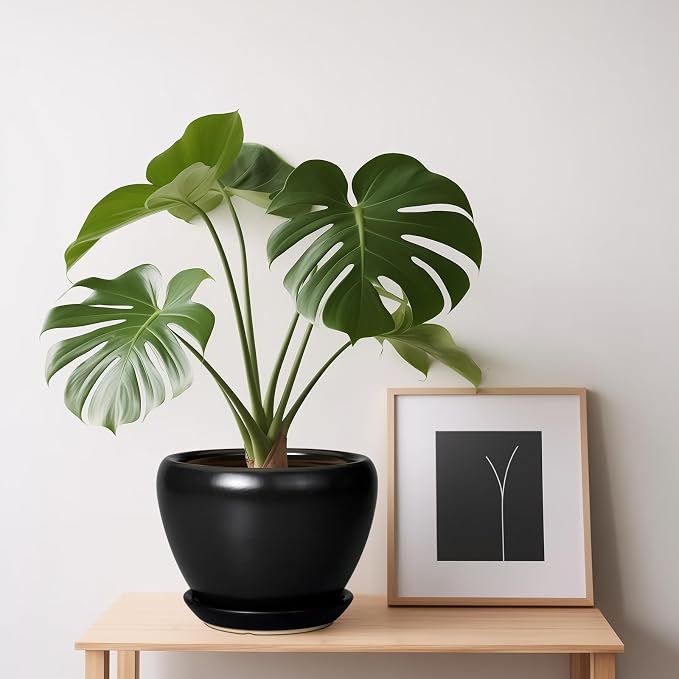 Ceramicfor Ceramic Planter Pot - 6 Inch Plant Pot with Drainage Hole and Saucer Round Planter for Indoor Plants Outdoor Succulent Pot Modern Flower Pot for Home Decor Black