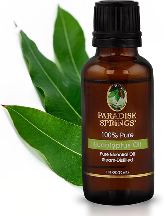 Paradise Springs Eucalyptus Essential Oil, 100% Pure and Natural Eucalyptus Essential Oil for Diffusers for Home Aromatherapy, Massage, Humidifiers, 1oz (30ml)