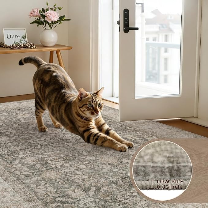 5x7 Area Rugs for Living Room: Vintage Boho Neutral Washable Rug Indoor Soft Large Area Rug Carpet for Bedroom Nursery Farmhouse Dining Room Office Floor Non-Slip Low Pile Under Table Rug Warm Taupe