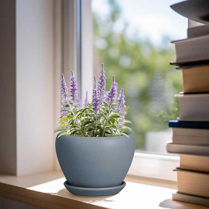 Ceramicfor Ceramic Pot for Plants - 6 Inch Plant Pot Indoor with Drainage Hole and Saucer Decorative Planter for Outdoor Plants Modern Succulent Pots Round Flower Pots Gray