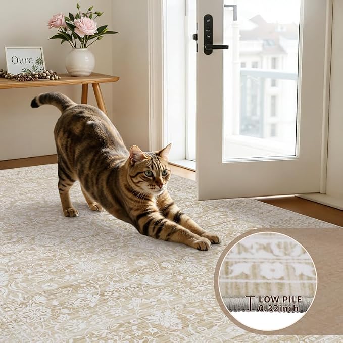 5x7 Area Rugs for Living Room: Vintage Boho Neutral Washable Rug Indoor Soft Large Area Rug Carpet for Bedroom Nursery Farmhouse Dining Room Office Floor Non-Slip Low Pile Under Table Natural Beige