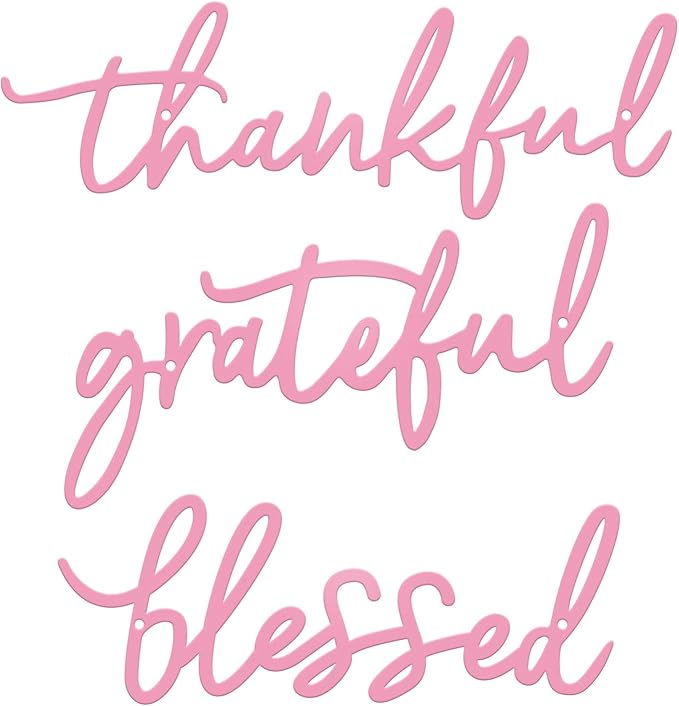 Thankful Grateful Blessed Letter Sign Metal Wall Decor, 3 Pieces Pink Letters Wall Art for Bathroom Bedroom Metal Words Wall Decor for Home Decor (Pink)