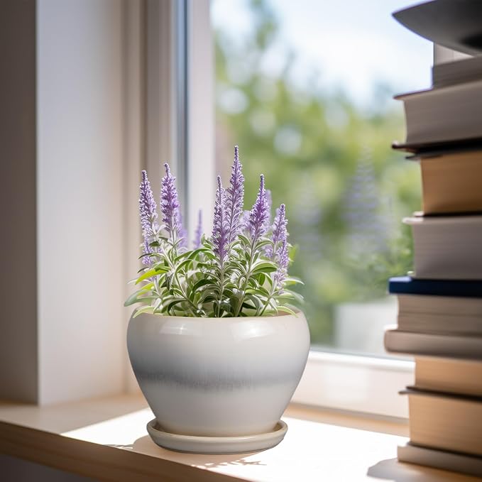 Ceramicfor Planter Pot 6 Inch - Ceramic Plant Pot with Drainage Hole and Saucer, Round Glaze Succulent Pot for Plants, White