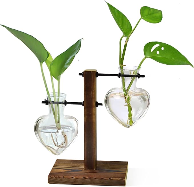 XXXFLOWER Plant Propagation Station Terrarium Wooden Stand 2 Love Bulb Vase | Flower Glass Vase Plant Desktop Holder, Home Garden Office Decor for Birthday Gift for Women Plant Lover