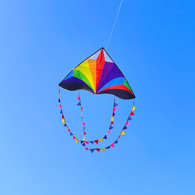 Delta Kite for Kids & Adults - Easy to Fly Large Single Line Beach Kite with 300ft String Handle Included, Perfect for Beginners, Teens