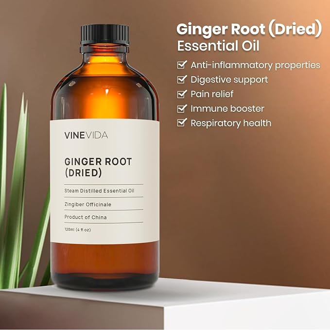 VINEVIDA Dried Ginger Root Essential Oil 4 oz - Undiluted Ginger Root Oil 4 oz - Ginger Root Candle Oil Scent - DIY Candle Scents for Candlemaking - Bulk Essential Oil for Soap Making