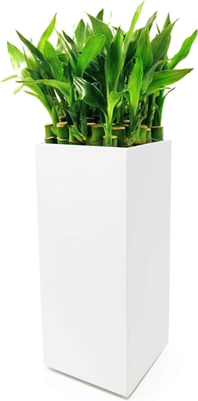 Buhbo Modern Square Vase Planter 3.5" x 3.5" x 8 inch, White