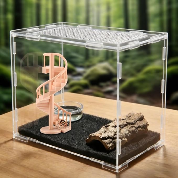 Mini Spiral Staircase Climber,Jumping Spiders Spinning Stairs,Spiderweb Spiral Stair,Climbing Set with Magnetic Mount for Jumping Spider Enclosure Accessory Decoration ﻿