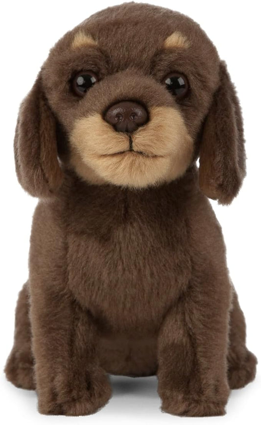 Living Nature Dachshund Puppy, Realistic Soft Cuddly Dog Toy, Naturli Eco-Friendly Plush, 7 Inches