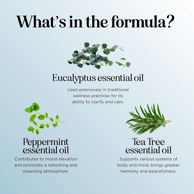 Breathe Essential Oil Roll On - Aromatherapy Essential Oil Roller with Invigorating Essential Oils - Refreshing Essential Oil Blend with Eucalyptus Peppermint Spearmint & Tea Tree Oils (2 Pack)