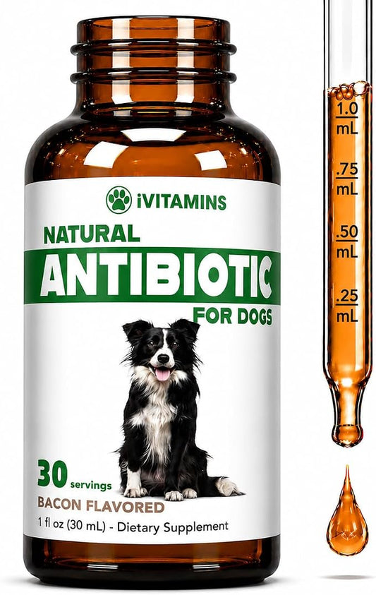 Natural Dog Antibiotics - Antibiotics for Dogs - Yeast Infection Treatment for Dogs - Dog Yeast Infection Treatment - Itch Relief - 1 fl oz - Bacon Flavor