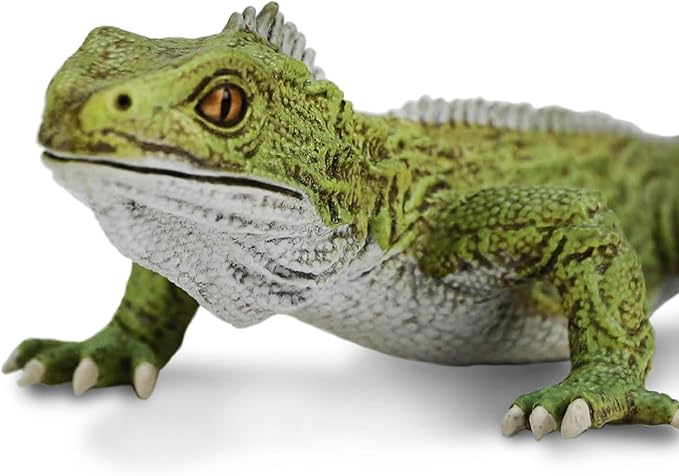 Safari Ltd. Tuatara Figurine - Realistic 7" Reptile Figure - Fun Educational Toy for Boys, Girls, and Kids Ages 3+