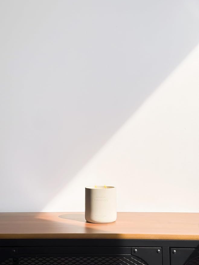 WHOLESOME. Pomegranate Scented Non-Toxic Candles for Home, 2 Wicks Natural Coconut Wax Candle Eco-Friendly, Luxury Aromatherapy Candles Stress Relief, 16 oz Large Concrete Jar, 90 Hours Burn