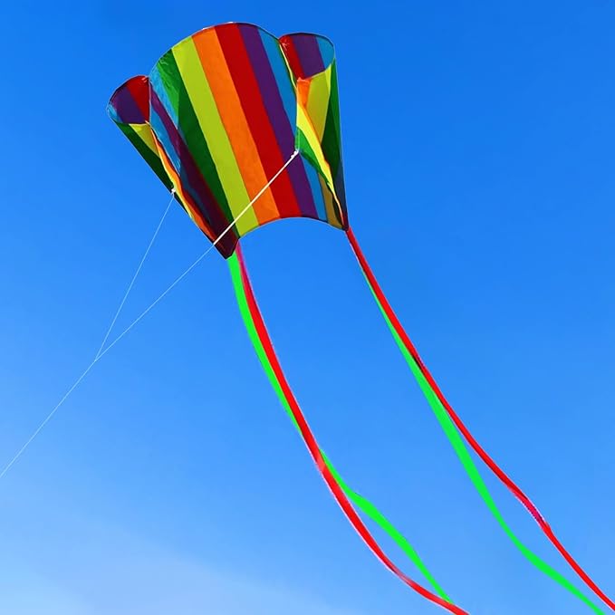 HENGDA KITE for Kids&Adults Rainbow Parafoil Kite with Long Tail,with 700 Feet Kite Reel String, Easy to Fly, Suitable for Children to Play, do not Need to Assemble，Perfect for Beach Fun
