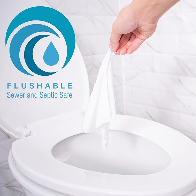 HealthSmart 60 Count Flushable Wipes, Gentle on Sensitive Skin, Easily Disintegrates, Alcohol-Free Wipes for Adults or Babies, FSA & HSA Eligible