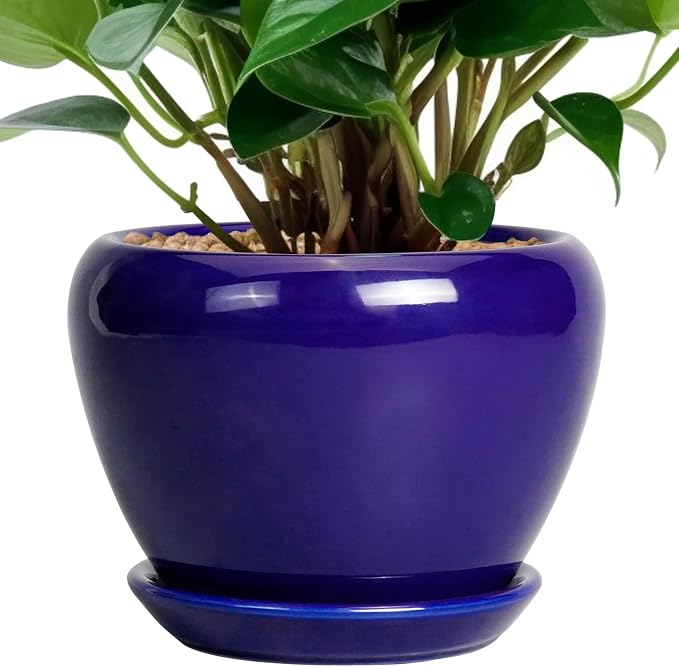Ceramicfor 6 Inch Plant Pot - Ceramic Pots for Plants Succulent Pot with Drainage Hole and Saucer Round Planter Outdoor Flower Pot for Herb Snake Plants Blue