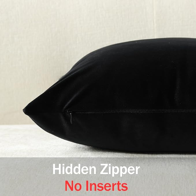 Throw Pillow Covers 16x16 Black: Pack of 2 Cozy Soft Velvet Square Modern Luxury Decorative Throw Pillow Cases for Sofa Couch Living Room Bed Home Decor