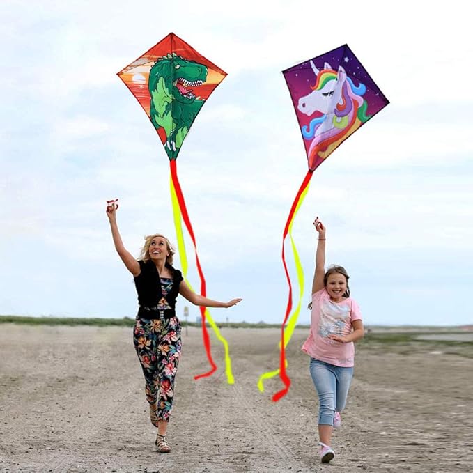 HONBO DIY Kite for Kids, Beginners Kite for Children, Wonderful Eddy Kite for 3 Years up, with 2x300cm Long Tails, Kite Handle, 60m String and Swivel incloud