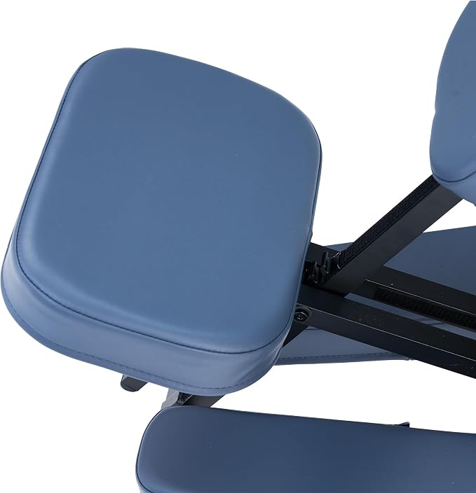Professional Portable and Lightweight Tattoo/Massage Chair by Master Massage - Folding Aluminum Frame with Adjustable Features and Wheeled Carrying Case, Blue