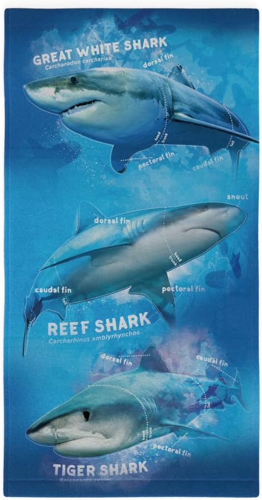 Collectibles Discovery Shark Week Super Soft Lightweight 100% Recycled Bath/Pool/Beach Towel Made from Recycled Plastic Bottles, 58 in x 28 in, (Officially Licensed Product) by Franco