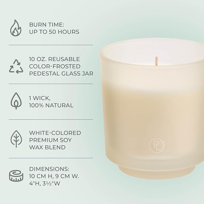 PartyLite Iced Snowberries Scented, Notes of Apple, Cranberry, Peach, Strawberry, Vanilla & Musk,10oz 1-Wick Aromatherapy Refillable Jar Candle, 50 Hour Burn Time, Sustainable Wax in Reusable Vessel