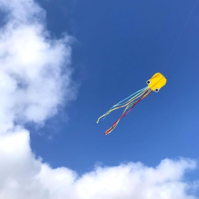 Large Octopus Kites for Kids and Adults - Easy to Fly, 28X158 3D Software Colorful Kite with Long Tails. Perfect for Beach and Outdoor Activities