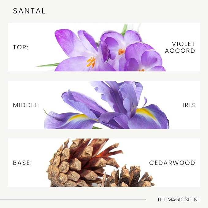 The Magic Scent Santal Fragrance Oil - Diffuser Oil Scent - Cold-Air & Ultrasonic Santal Diffuser Oil - Santal Essential Oil Aroma Diffuser Oils Scents for Home - Sandalwood Oil - 1 fl oz, 30 mL