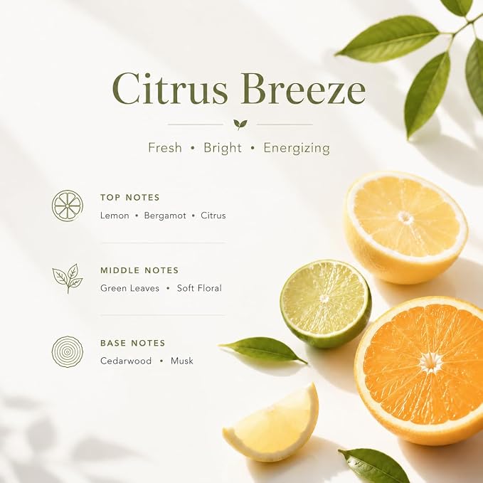 Airkeep Reed Diffuser Set,3.38 fl oz (100 ml) - Citrus Breeze Oil Diffusers with 8 Reed Sticks, Home Fragrance Reed Diffuser for Bathroom Shelf Decor