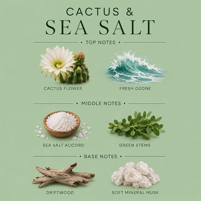 Affinati Cactus Sea Salt 10 oz Scented Candle – Long Lasting Luxury Soy Blend Candle for Home, Strong Scent Throw Fresh Crisp Coastal Aromatherapy Candle, Clean Burning Home Fragrance Gift