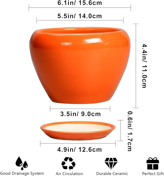 Ceramicfor Ceramic Plant Pot 6 Inch - Ceramic Planter for Indoor Plants Outdoor, Glaze Round Modern Flower Pot with Drainage Hole and Saucer, Gift for Plant Lover, Home Garden Room Decor, Orange