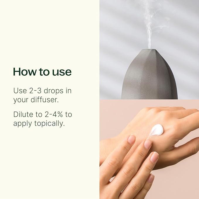 Plant Therapy Eucalyptus Radiata Essential Oil 30 mL (1 oz), 100% Pure, Undiluted, for Aromatherapy, Respiratory Support & Focus