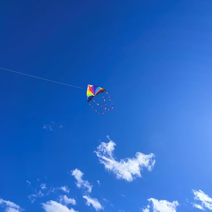 Delta Kite for Kids & Adults - Easy to Fly Large Single Line Beach Kite with 300ft String Handle Included, Perfect for Beginners, Teens