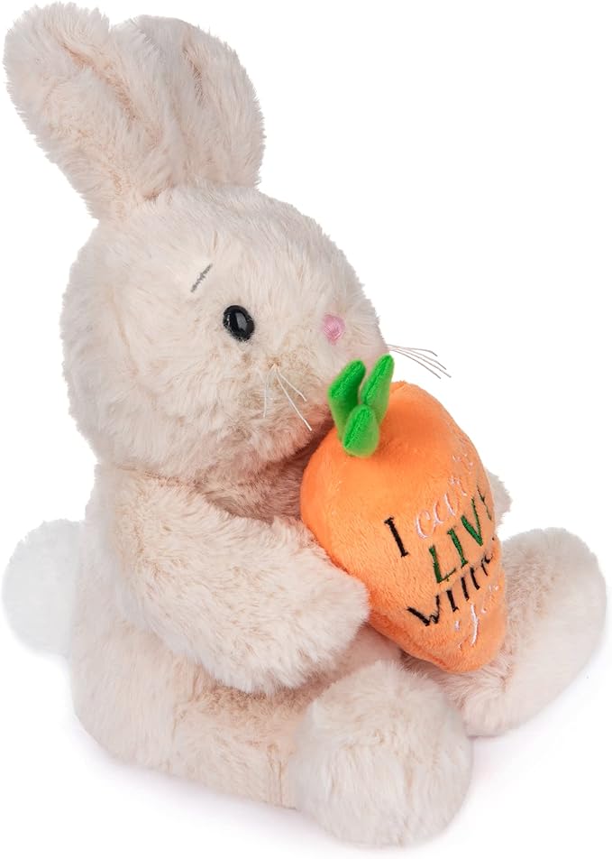 My OLi Bunny Stuffed Animal - 8in Plush Bunny with Carrot Sitting Rabbit Stuffed Toy Gifts for Girls Boys Kids