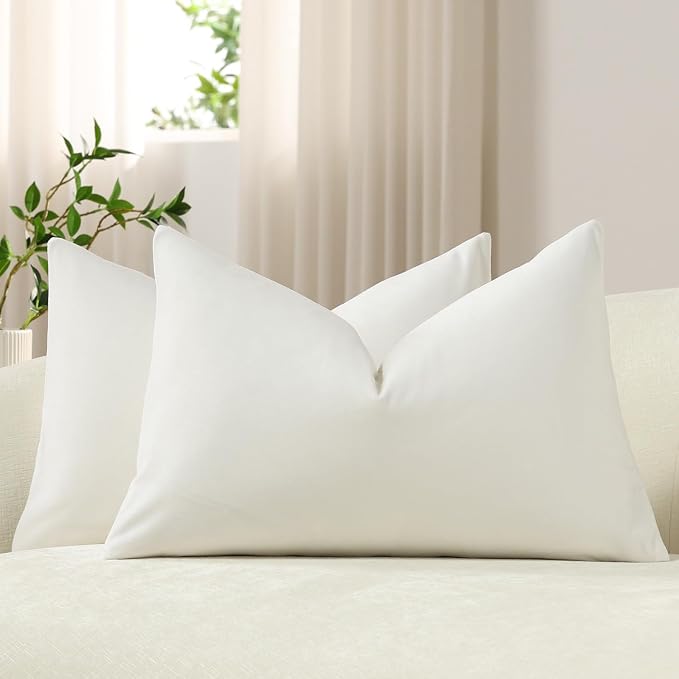 Lumbar Pillow Covers 12x20 Ivory White: Pack of 2 Cozy Soft Velvet Rectangular Modern Luxury Decorative Throw Pillow Cases for Sofa Couch Living Room Bed Home Decor