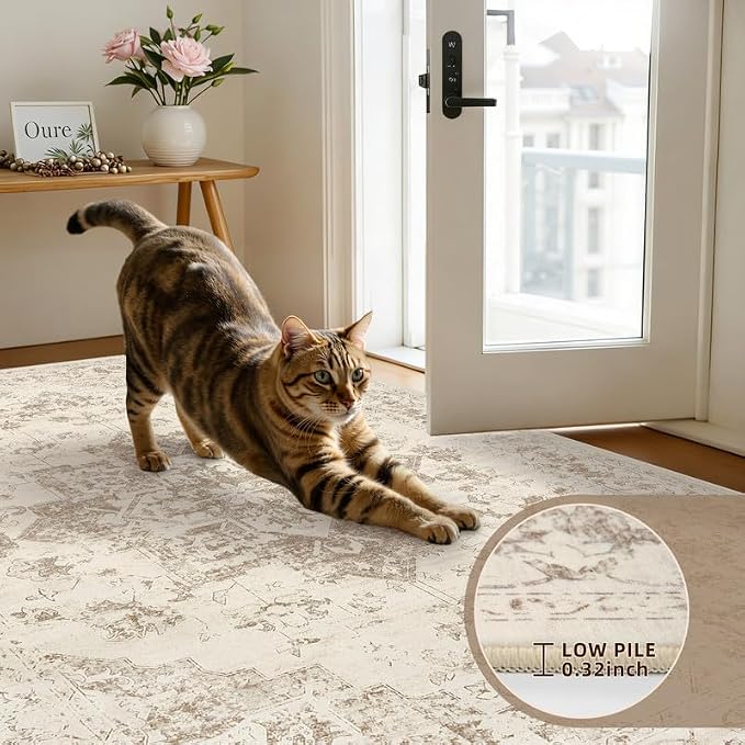 Round Area Rug for Living Room: 6ft Vintage Boho Neutral Washable Circle Rug Soft Large Circular Carpet for Bedroom Nursery Farmhouse Dining Room Office Floor Non-Slip Low Pile Under Table Beige/Ivory