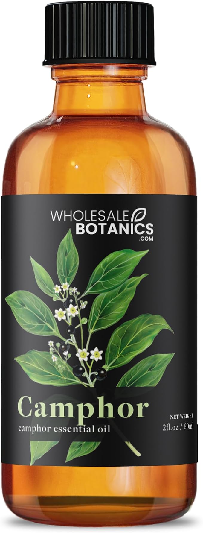 Camphor Essential Oil by Wholesale Botanics | Premium Grade 100% Pure Essential Oil | for Aromatherapy, Soaps, Lotions, & Candles | Vegan & Cruelty Free (2 Fl. Oz.)
