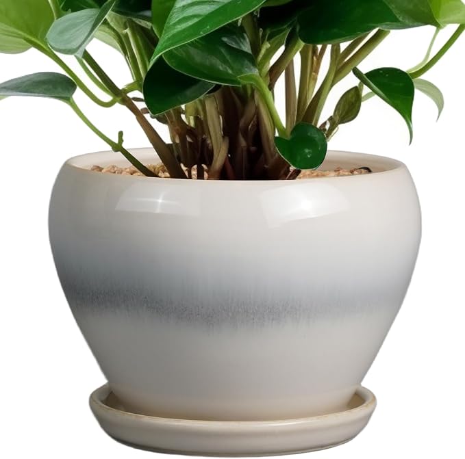 Ceramicfor Planter Pot 6 Inch - Ceramic Plant Pot with Drainage Hole and Saucer, Round Glaze Succulent Pot for Plants, White