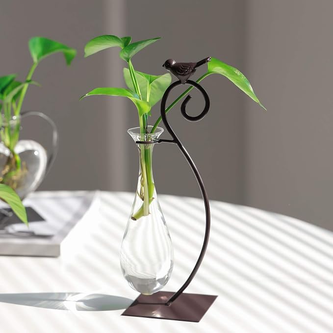 Marbrasse Desktop Glass Planter Hydroponics Vase,Planter Bulb Vase with Holder for Home Decoration,Modern Creative Bird Plant Terrarium Stand, Scindapsus Container (Water Drop Vase)
