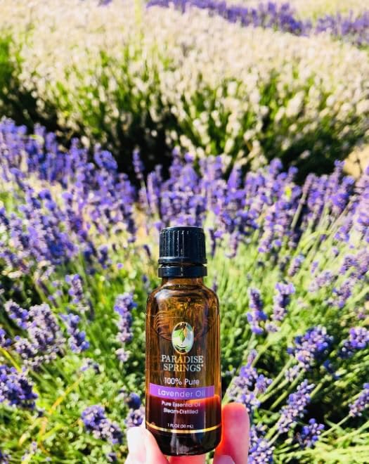 Paradise Springs Lavender Essential Oil 1 fl oz (30ml) | 100% Pure & Natural Lavender Oil for Aromatherapy, Diffusers, Humidifiers, Massage & Home Fragrance