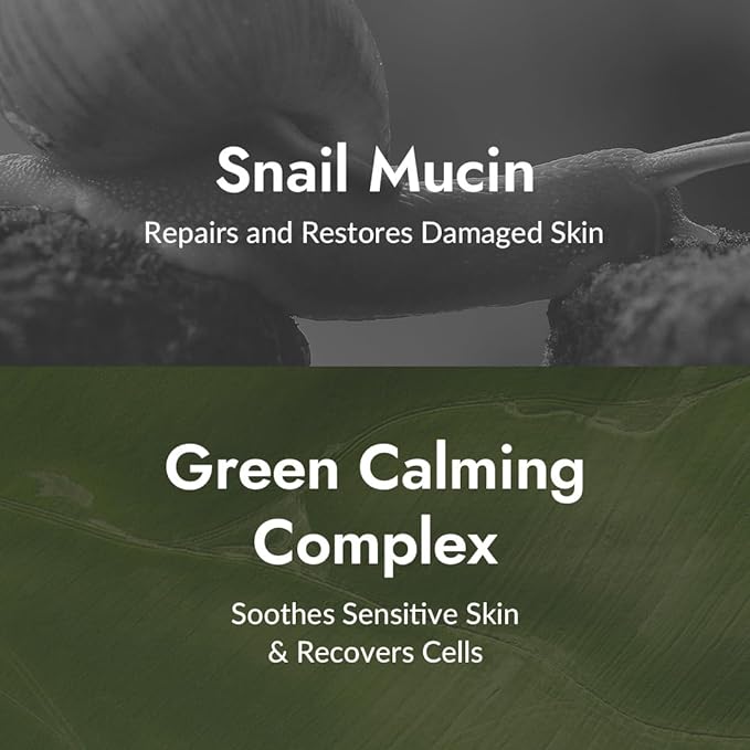 MIZON All-in-One Snail Repair Cream – Korean Face Moisturizer with Snail Mucin 12 Natural Extracts Hydrating & Nourishing Cream for Fine Lines Wrinkles & Blemish Care – Big Size(4.06 fl oz)
